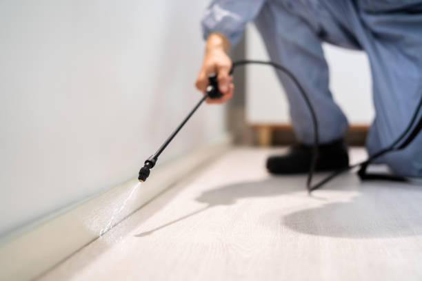 Licensed Fumigation Services service in Cherry Branch, NC - Nex Pest Control
