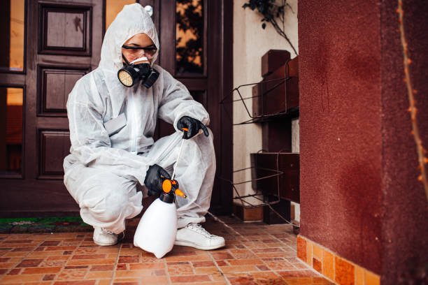 Reliable Fumigation Services contractor in Cherry Branch, NC by Nex Pest Control