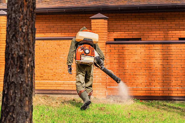 Trusted Emergency Pest Control service in Cherry Branch, NC - Nex Pest Control